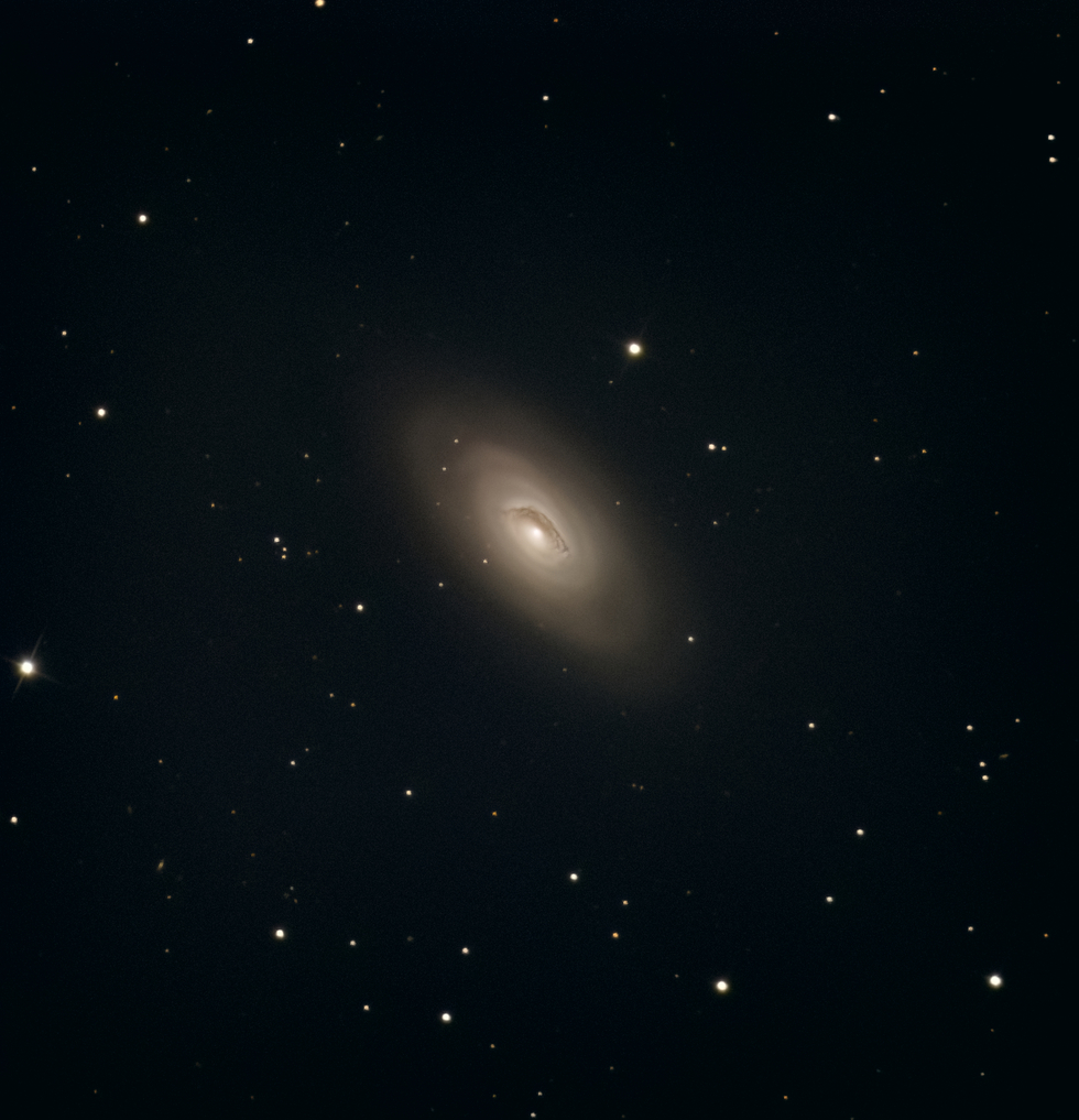 M64