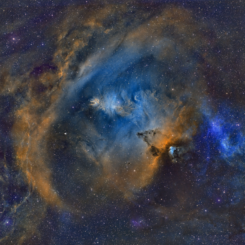 NGC2264 Widefield