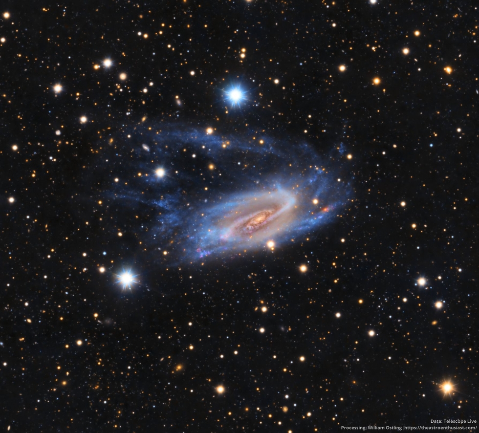 Unbarred Spiral Galaxy NGC 3981
