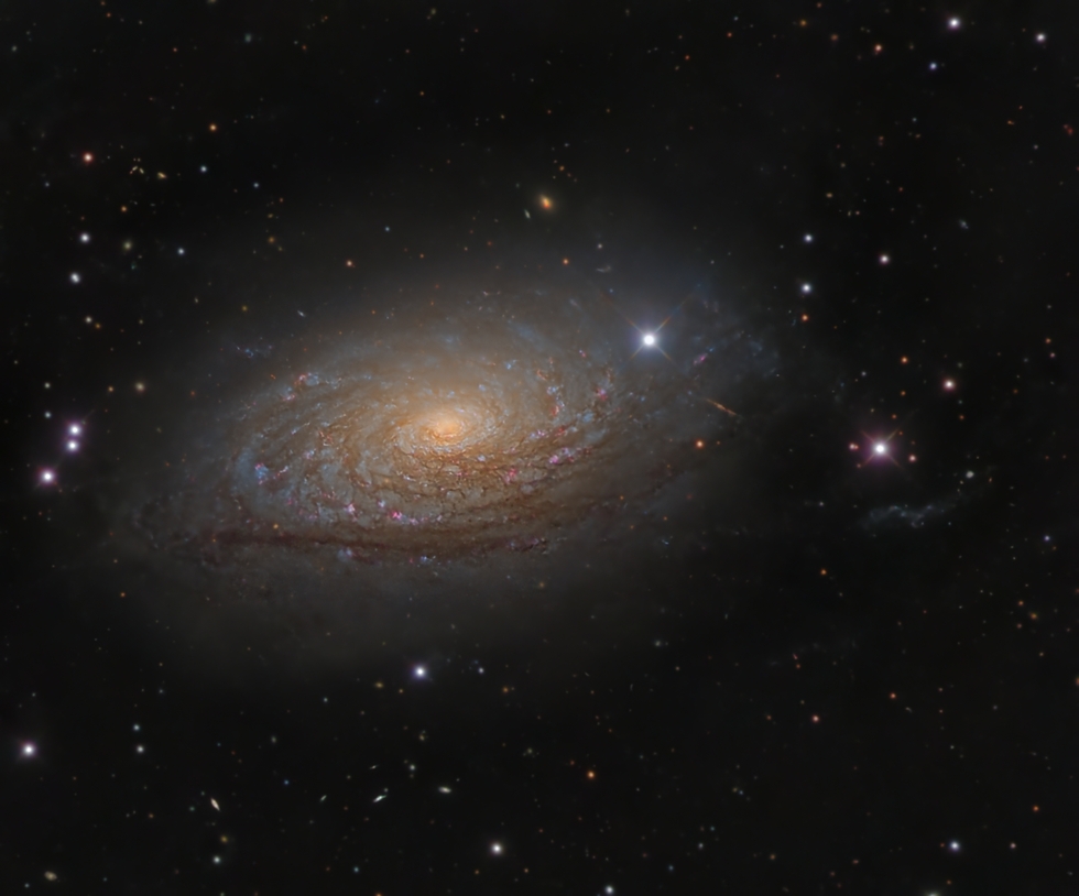 Sunflower Galaxy (M63)