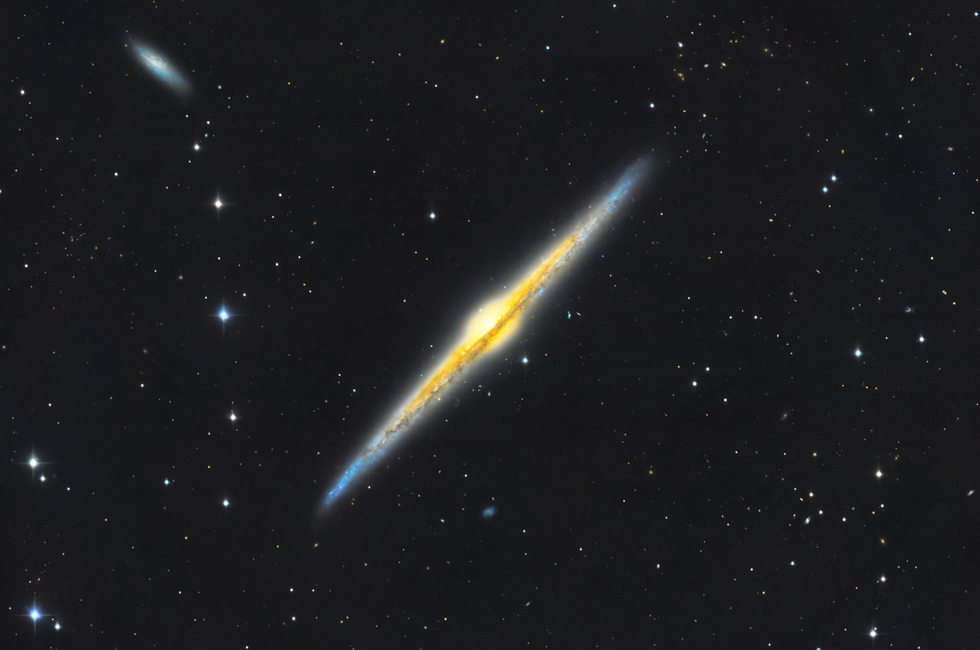 NGC 4565