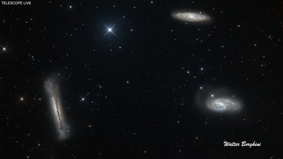 LEO TRIPLET