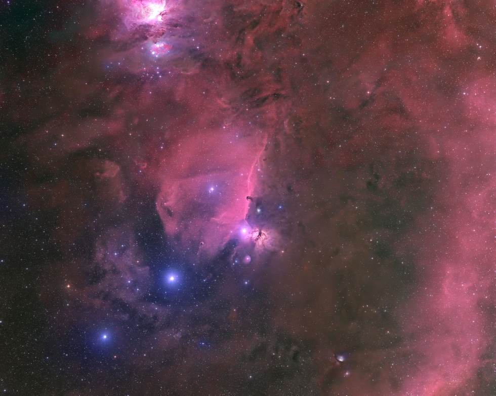 Horsehead Wide Field