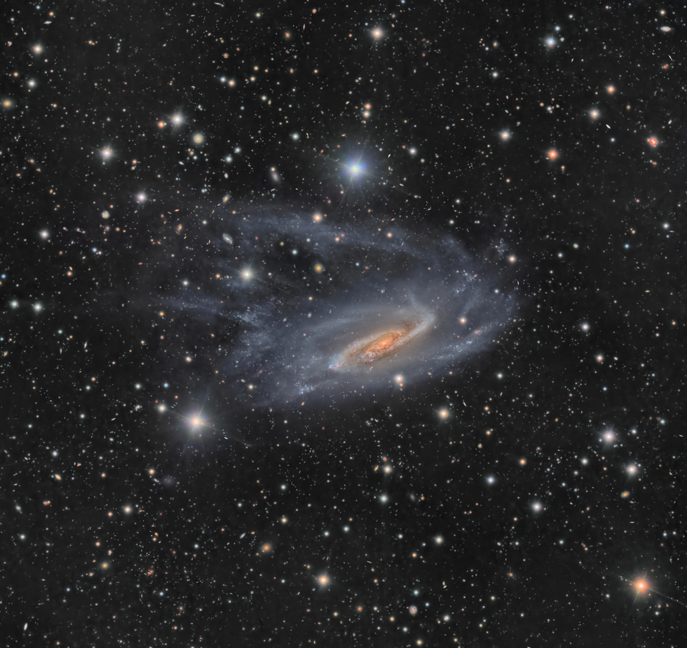 NGC 3981