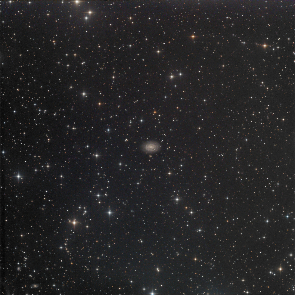 NGC 4499