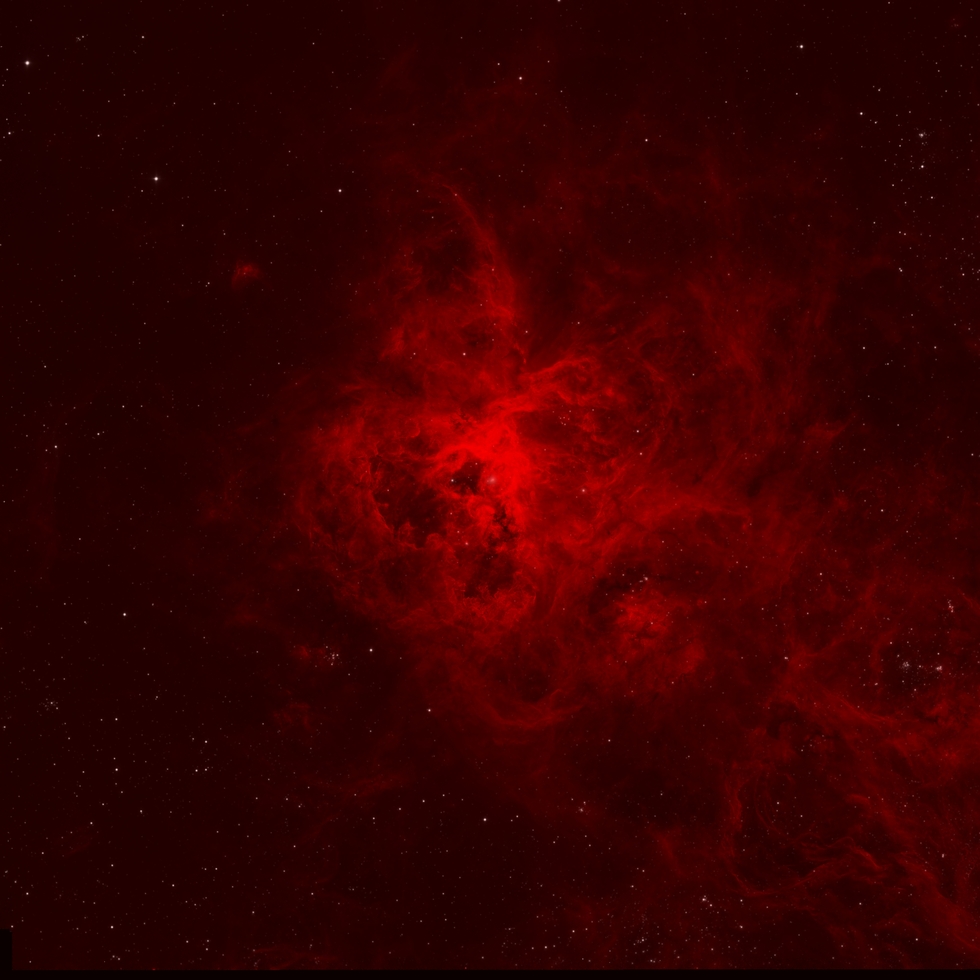 Tarantula Nebula H-alpha