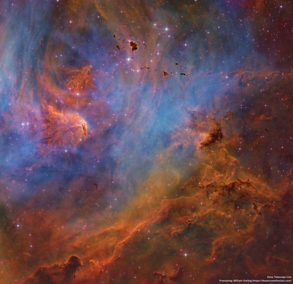 Stars and Globules in the Running Chicken Nebula