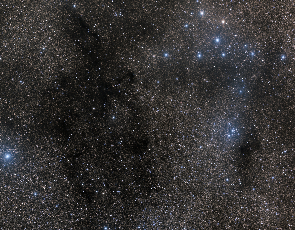 Broccis Cluster