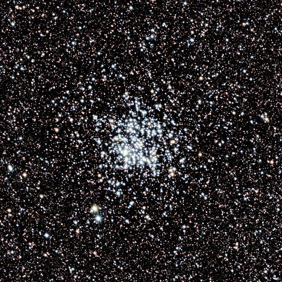 The Wild Duck Cluster M11