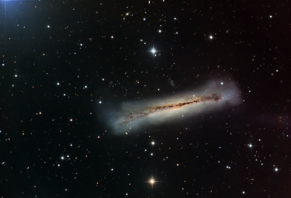 NGC3628