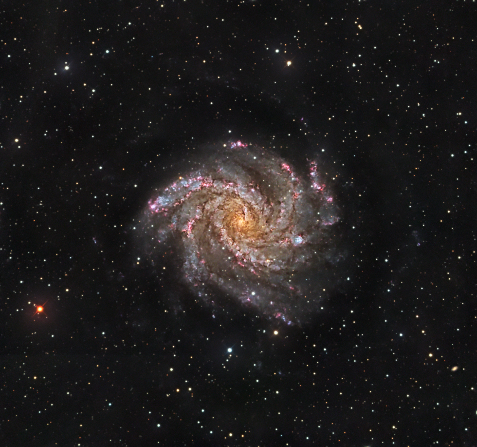 NGC 6946 a.k.a the Fireworks Galaxy