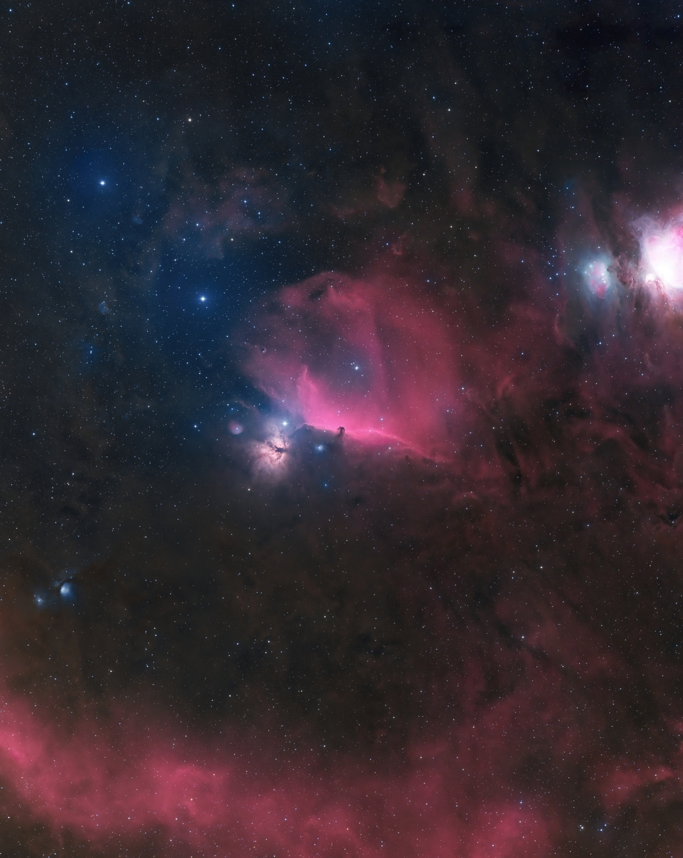 Horse Head Nebula Widefield