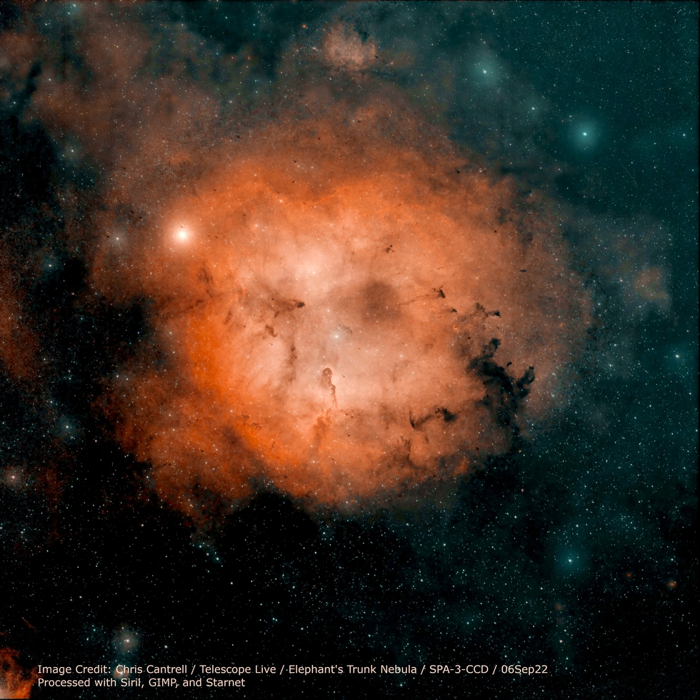 Elephant's Trunk - IC1396 | Telescope Live