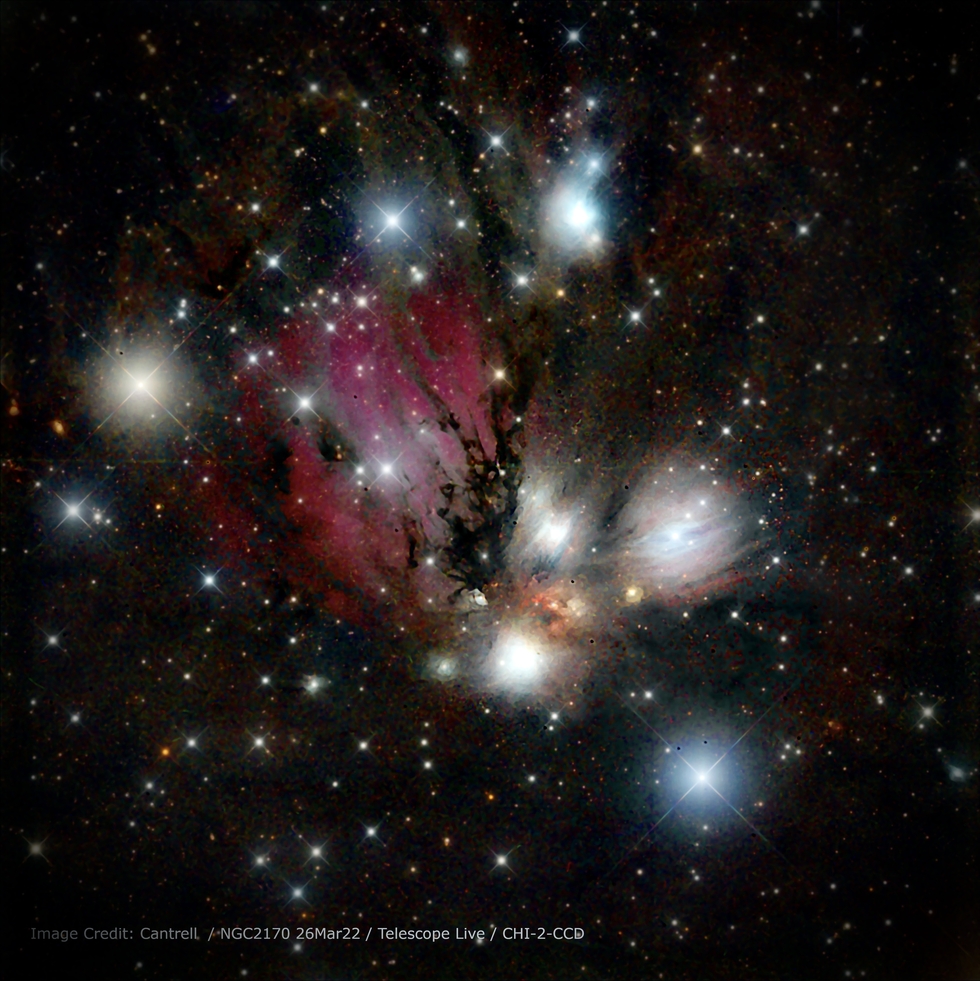 NGC 2170