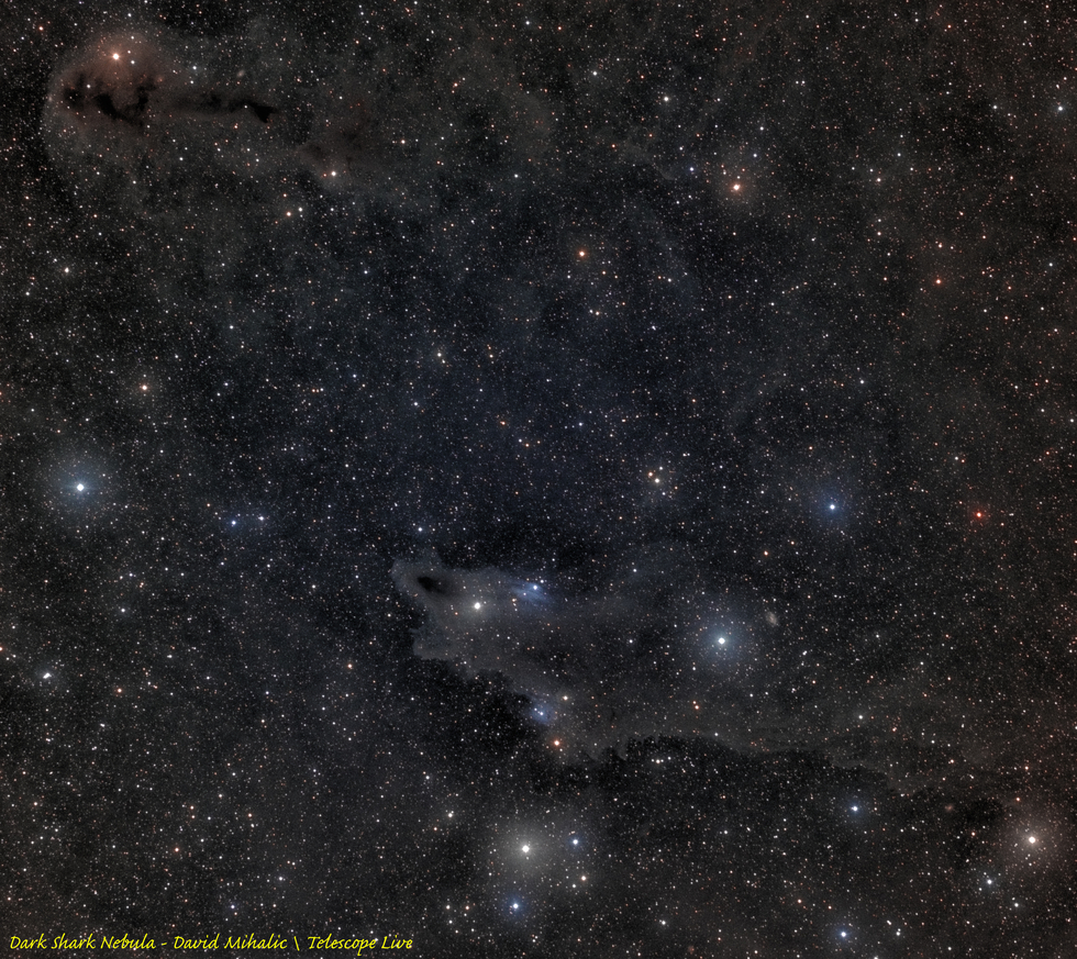 Dark Shark Nebula in Cepheus