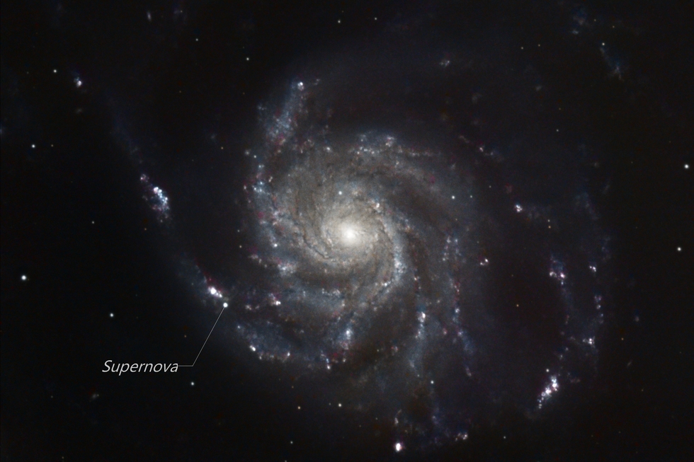 M101 with SN 2023 IXF