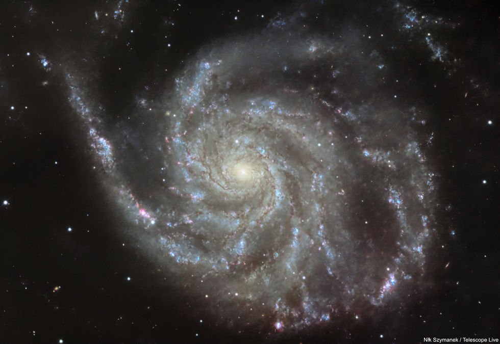 M101 and Supernova