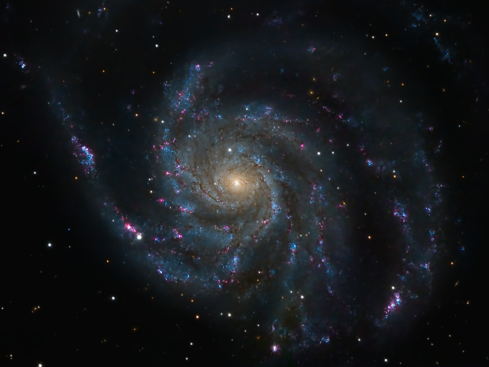 M101 with Supernova 2023IXF