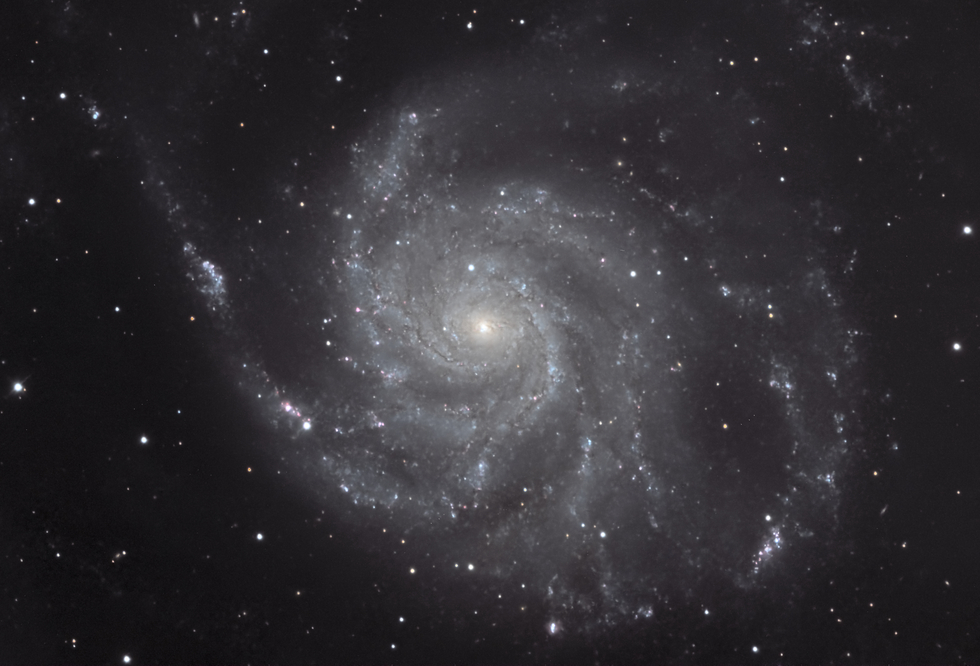 M101 with Supenova 2023IXF