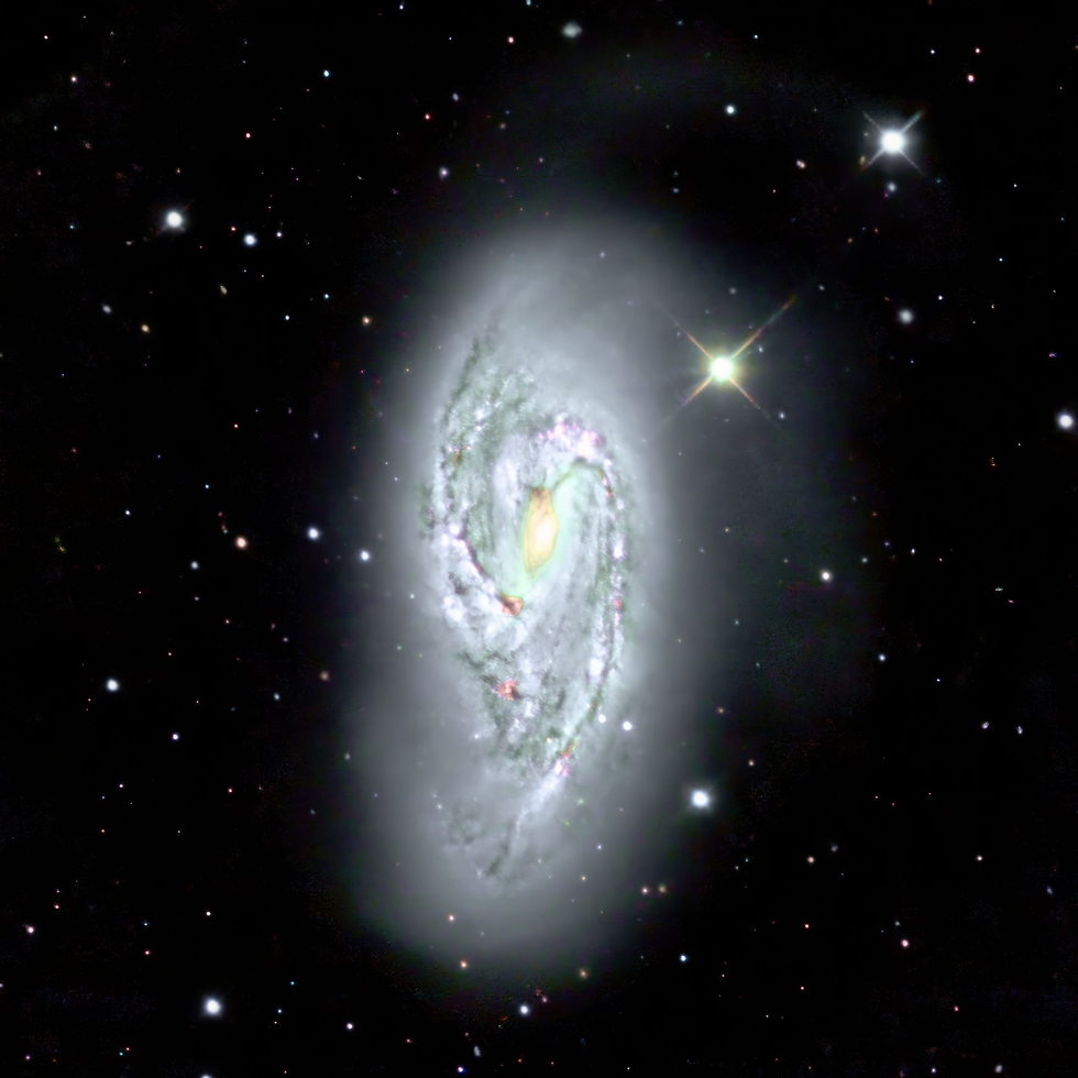 M66