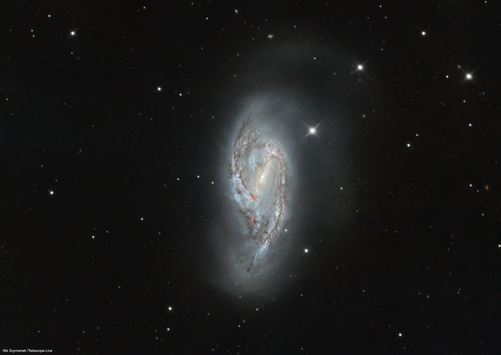 M66