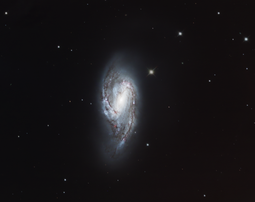 M66