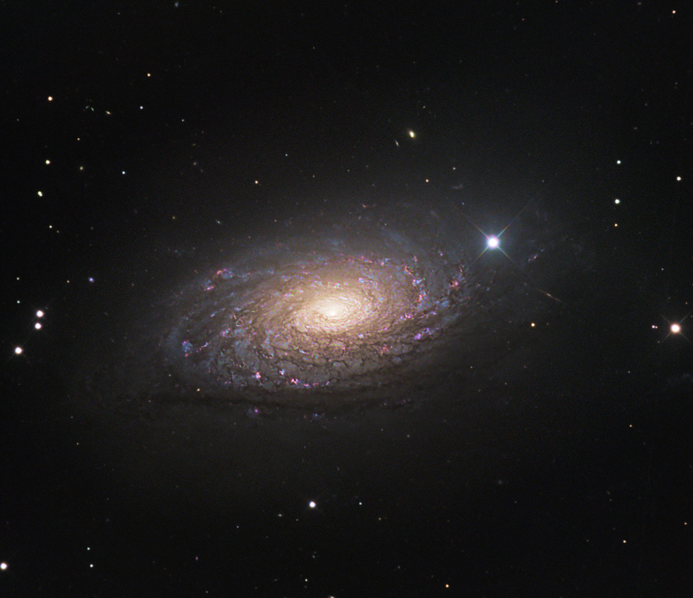Messier 63 | Telescope Live