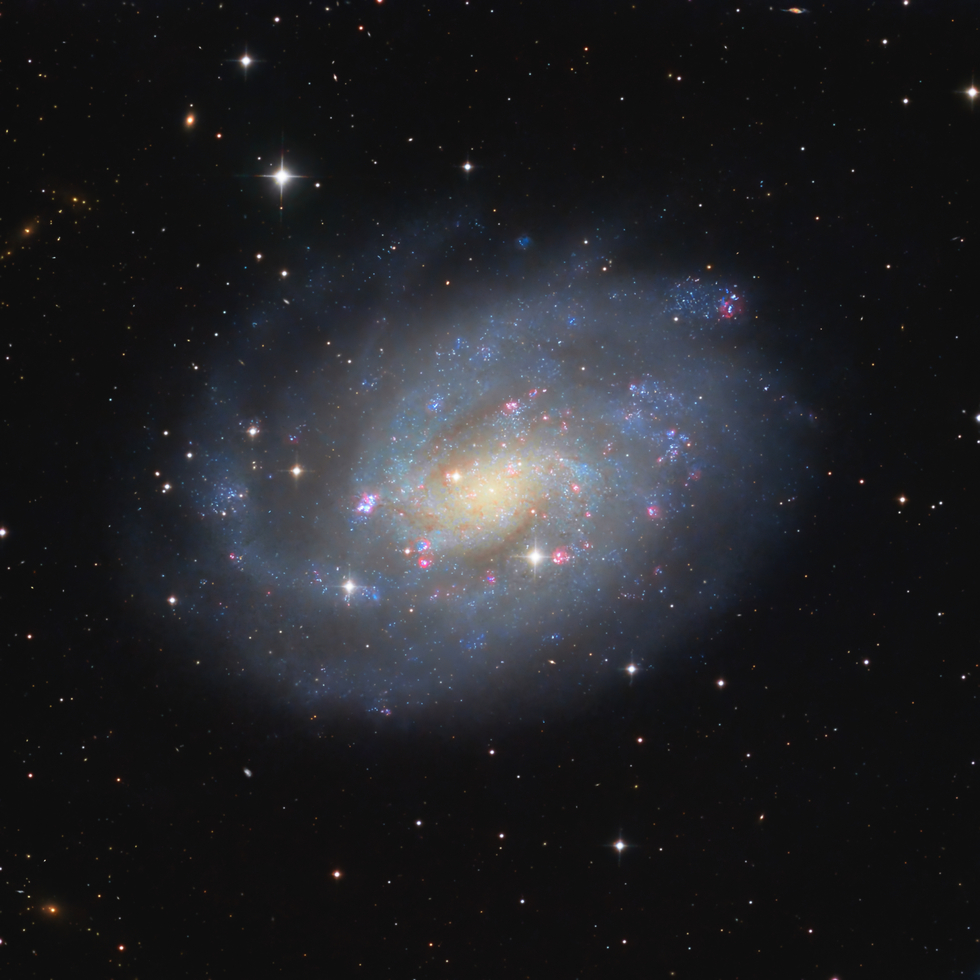 NGC300