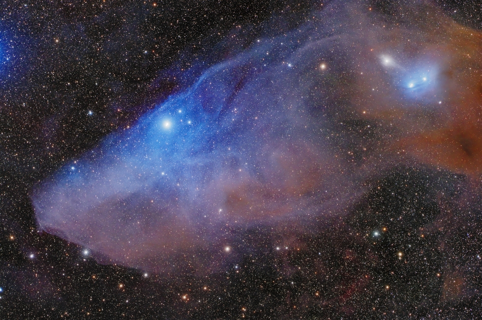 Blue Horsehead Nebula