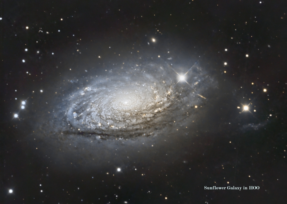 Sunflower Galaxy in HOO