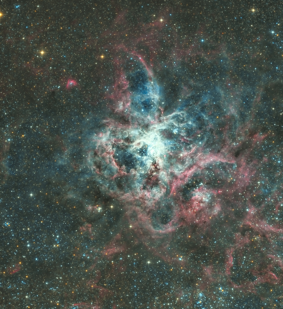 Trantula Nebula