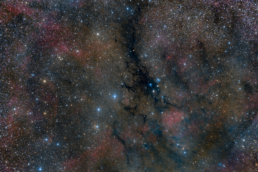 V1331 Cygni Wide Field 