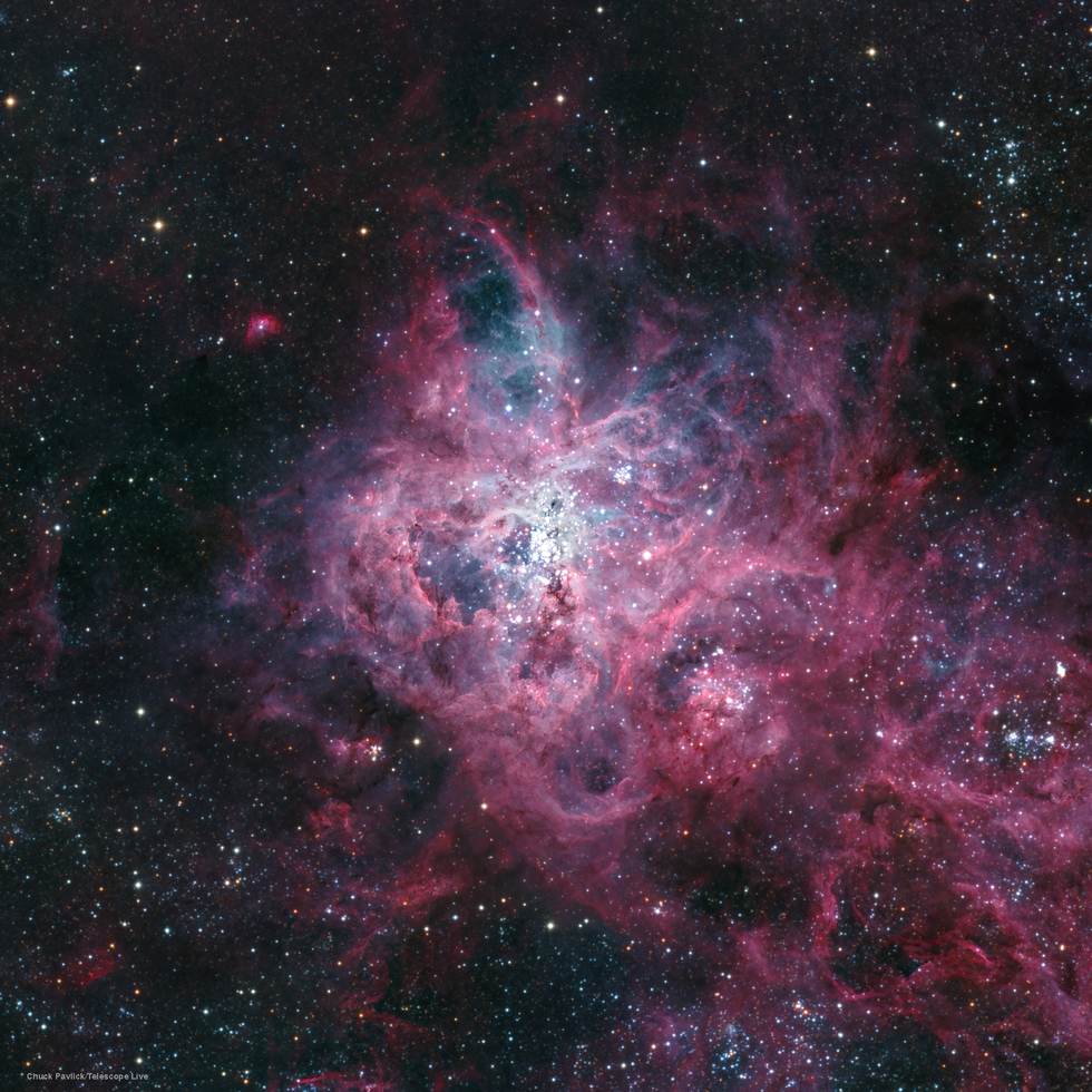 Tarantula Nebula