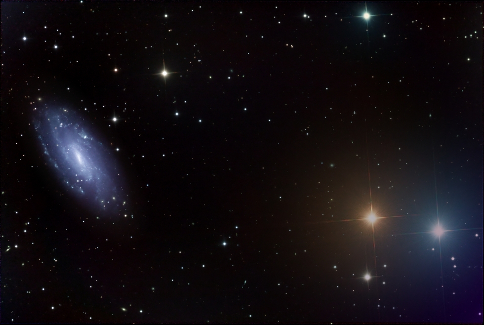 IC5201 & its Celestial Sentinels 