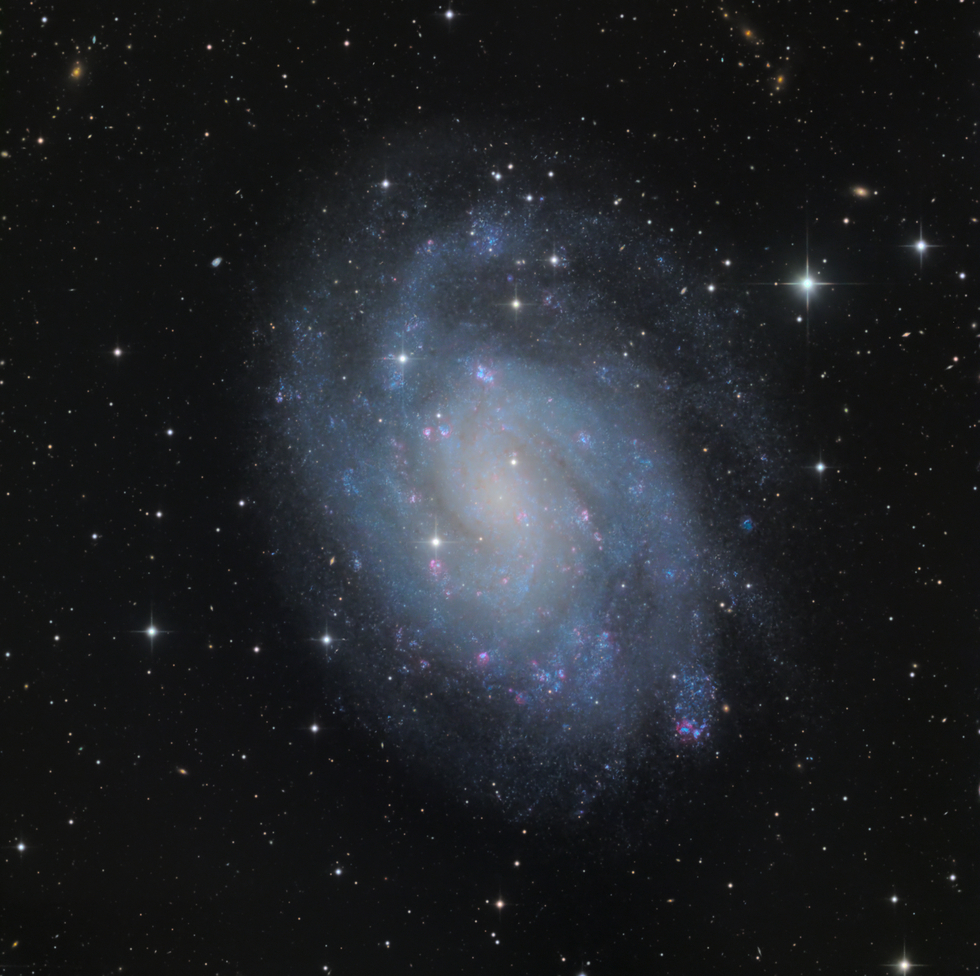 NGC 300