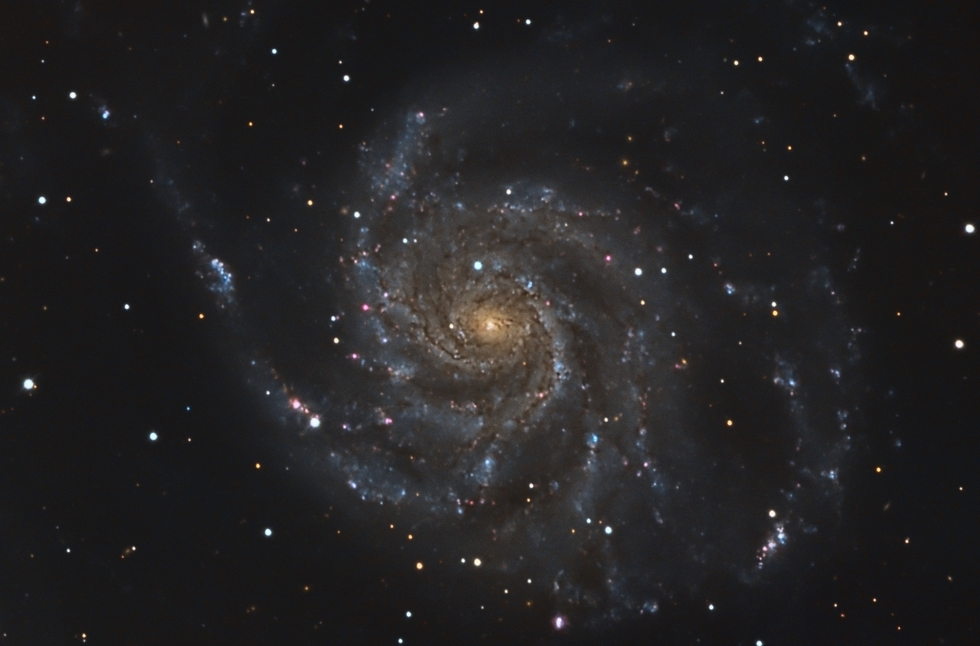 M101 WITH SN2023IXF
