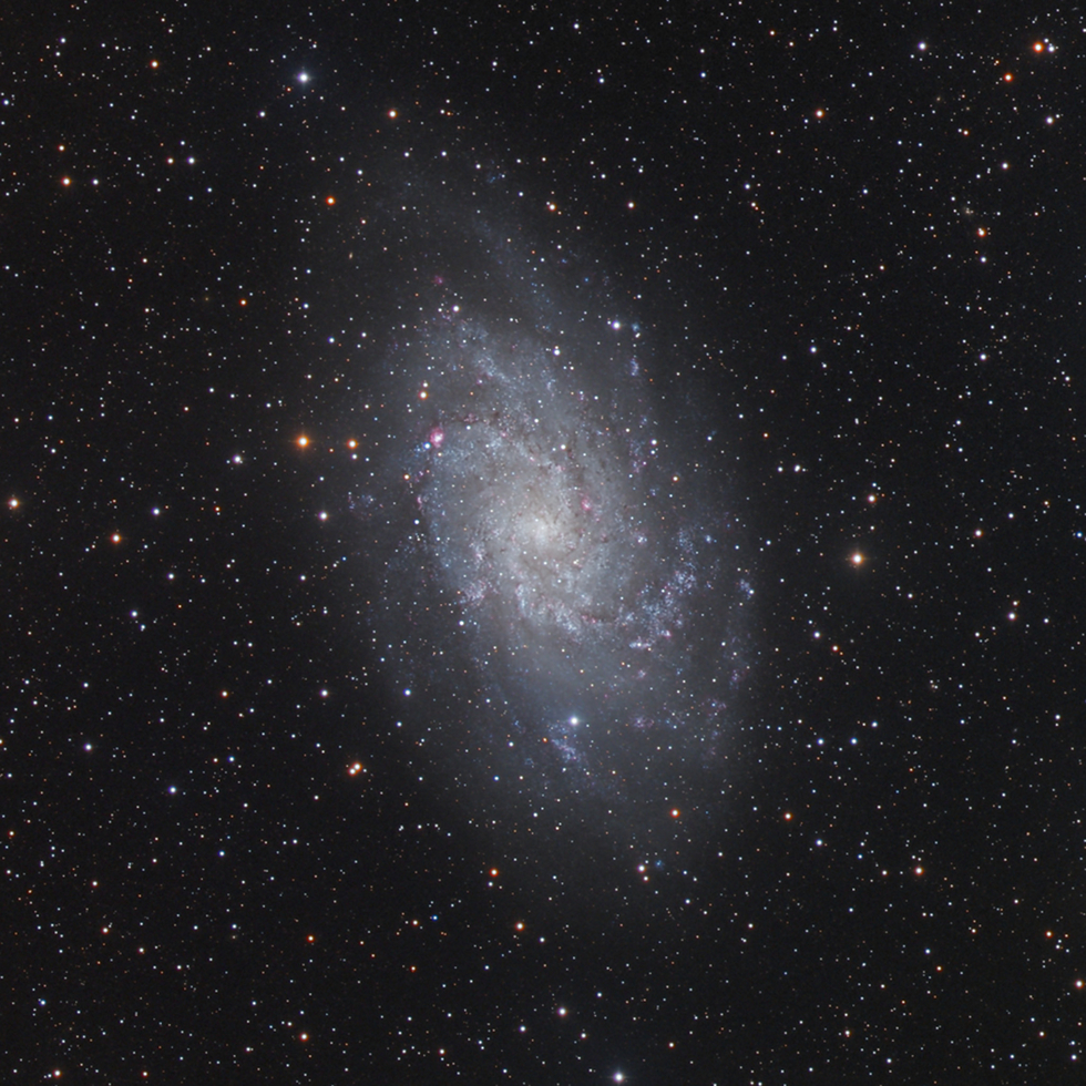 M33