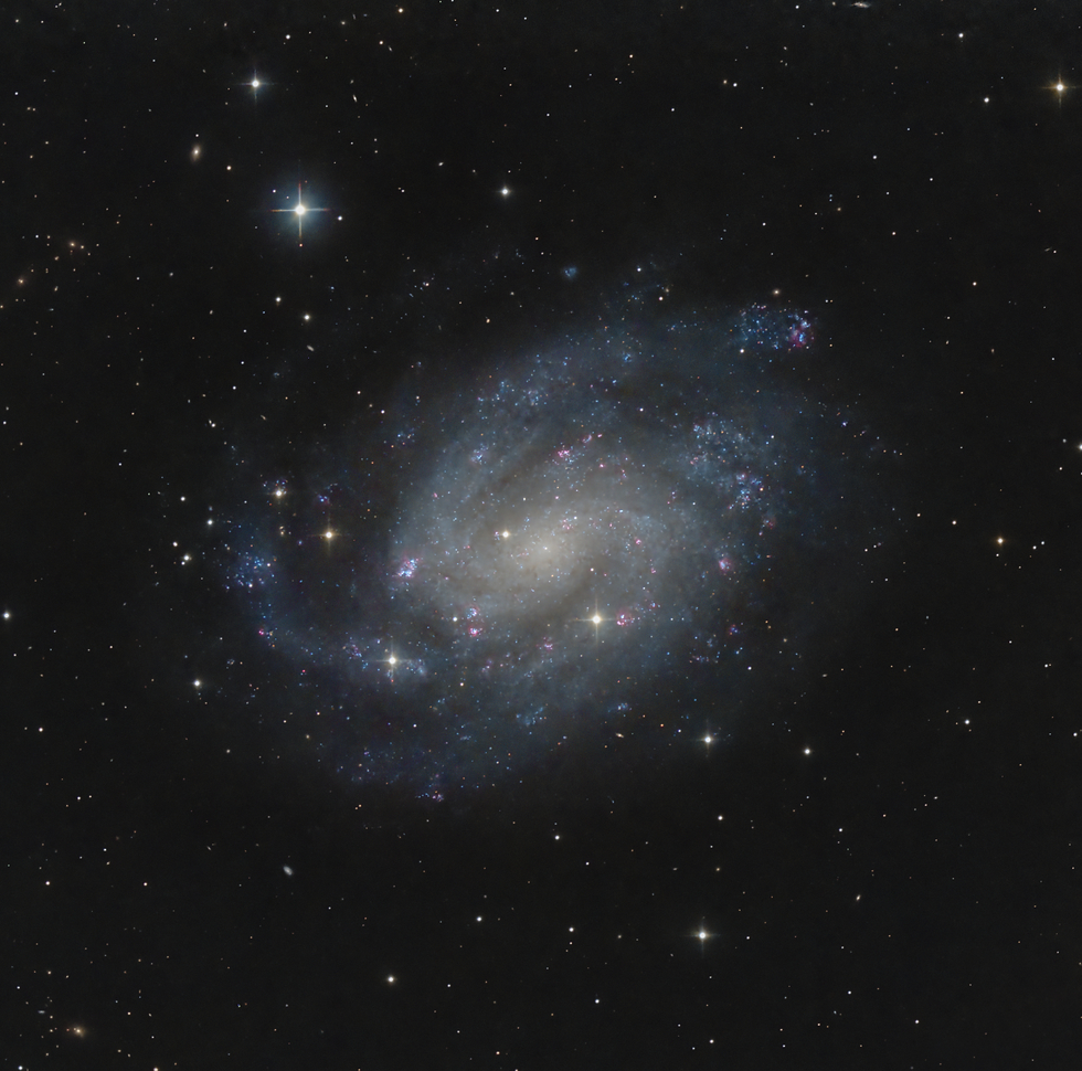 NGC300