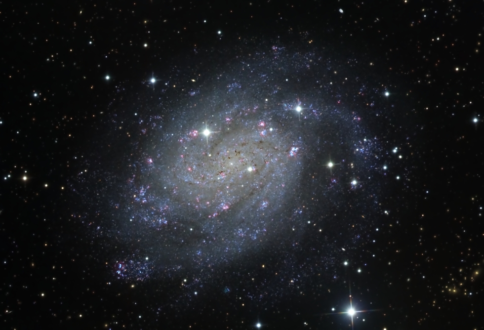 NGC300