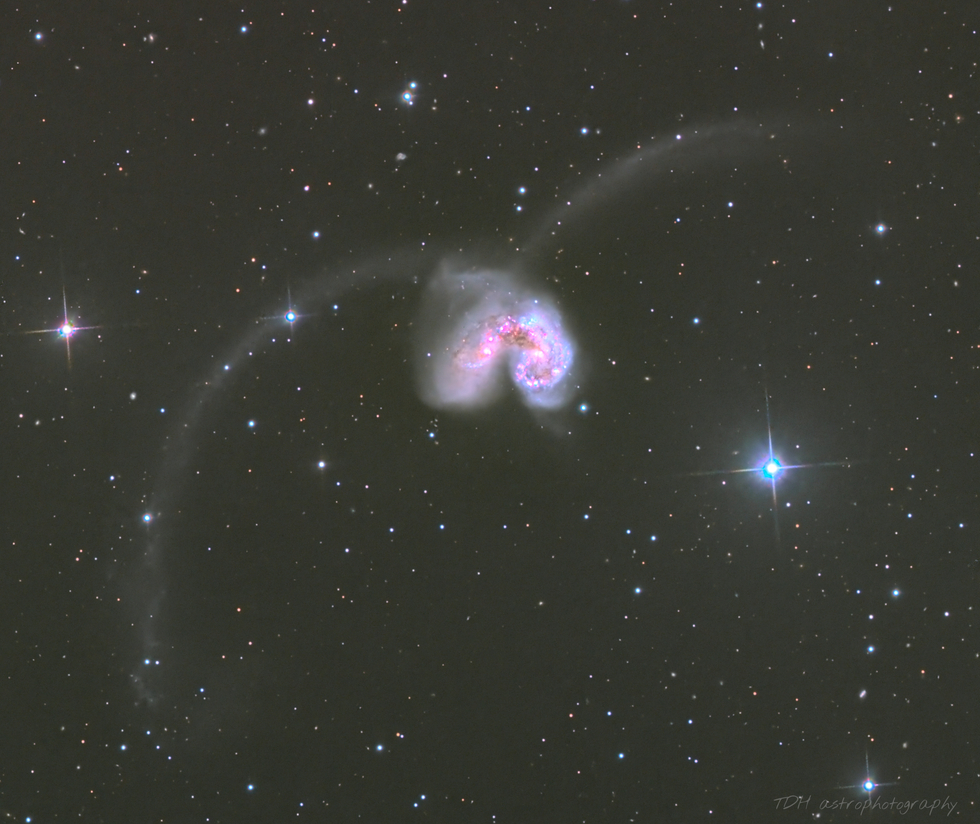 NGC 4038 - 4039