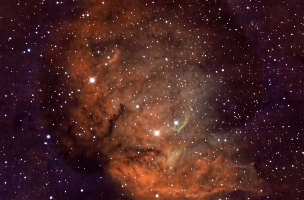 Tulip Nebula Sh2-101