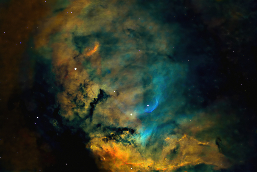 Tulip Nebula