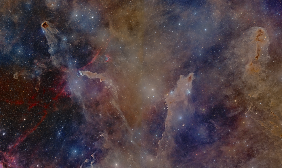 Dark Shark Widefield