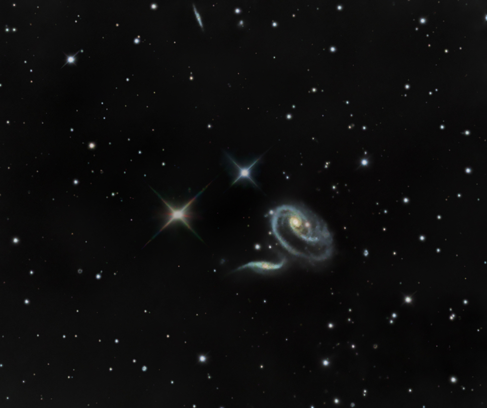 ARP 273
