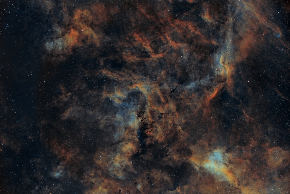 LBN 292 SHO, Foraxx Blend