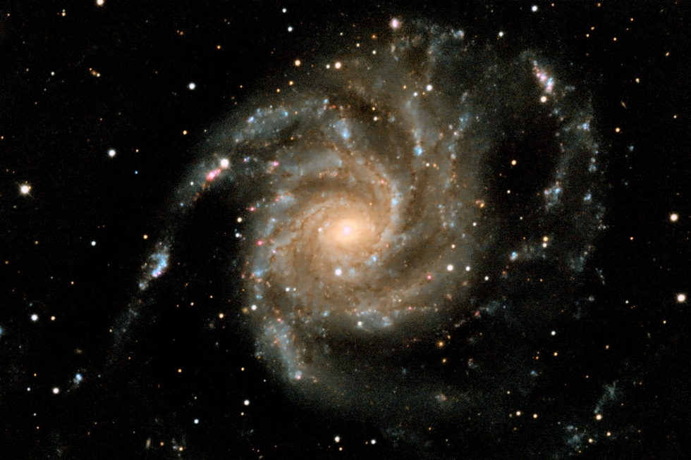 M101