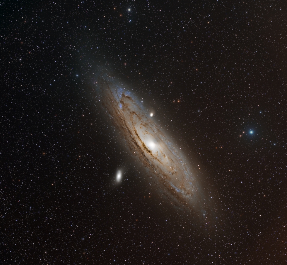 M31