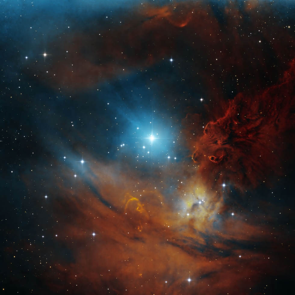 Zooming into NGC2264