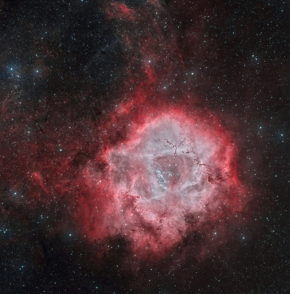A Rose in Space (Rosette Zoomed In)