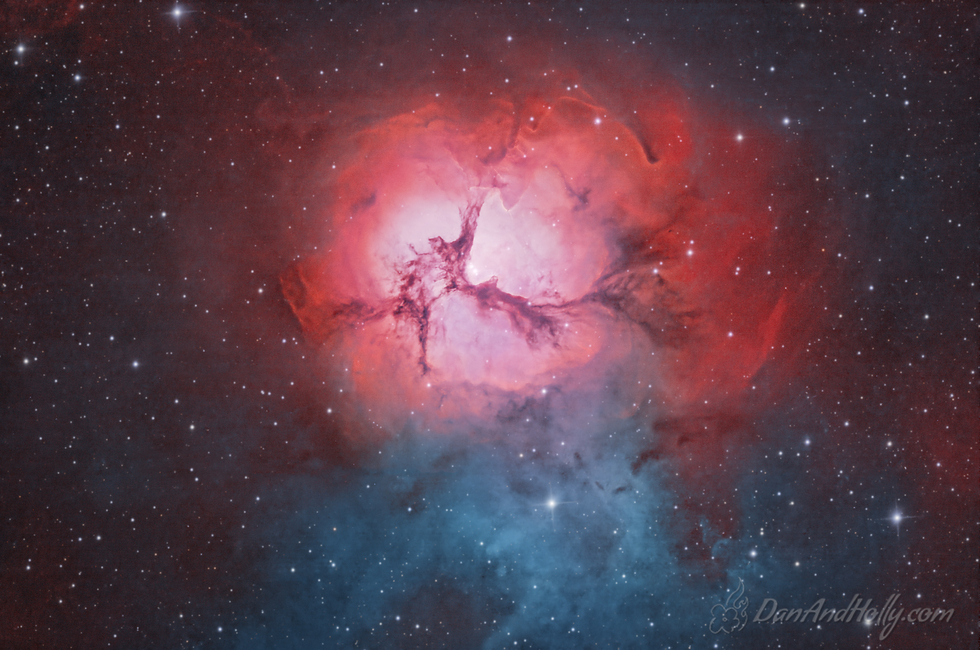 Trifid in Red and Blue